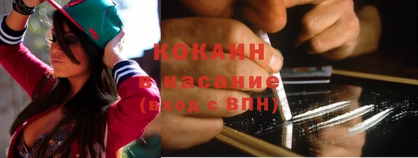 индика Мегион
