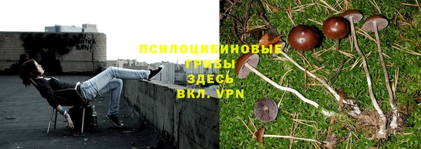 а пвп мука Богданович