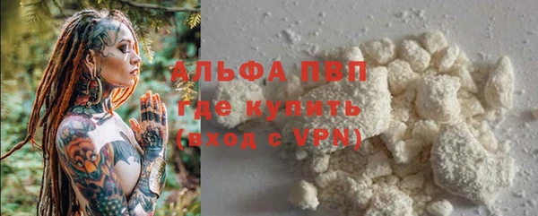 ПСИЛОЦИБИНОВЫЕ ГРИБЫ Богородск
