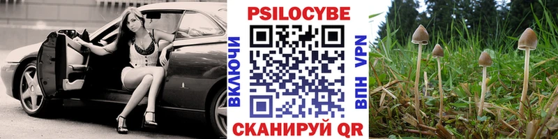 закладка  Бикин  Псилоцибиновые грибы мицелий 